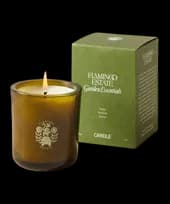 Scented Candles Image